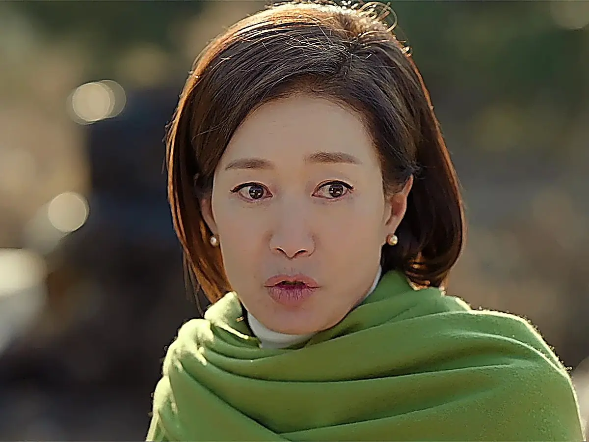 Kim Seon-hwa protects her daughter-in-law and grandchild from Moh Seul-hee
